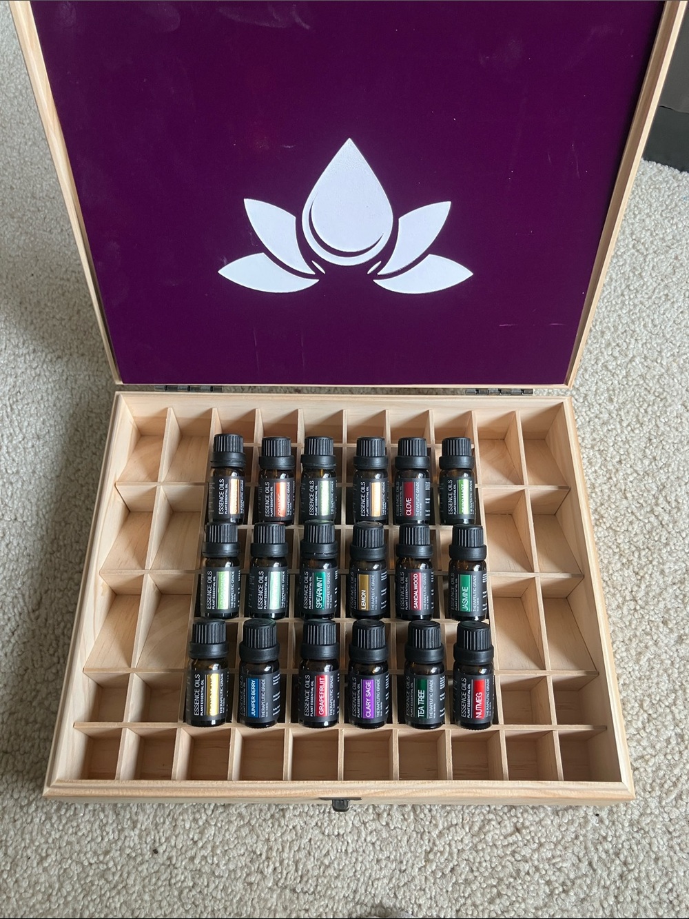 Pure Daily Care Aromatherapy Bundle  18 Essential Oils and case